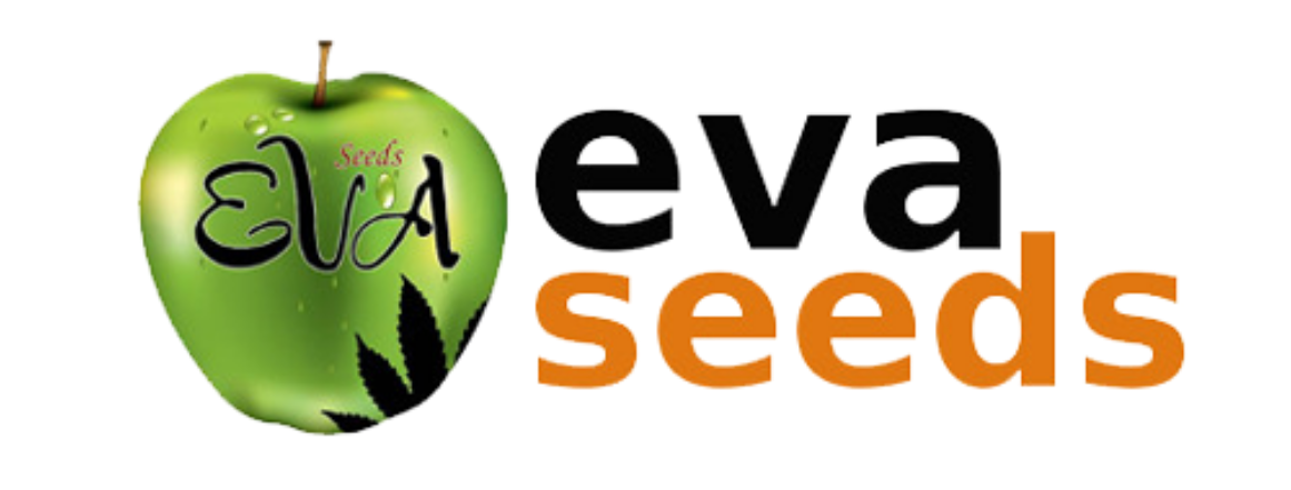 EVA SEEDS - SEMENACANNABIS.CZ